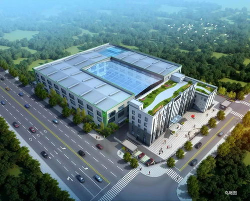 做苦蕎,我們是專業(yè)的